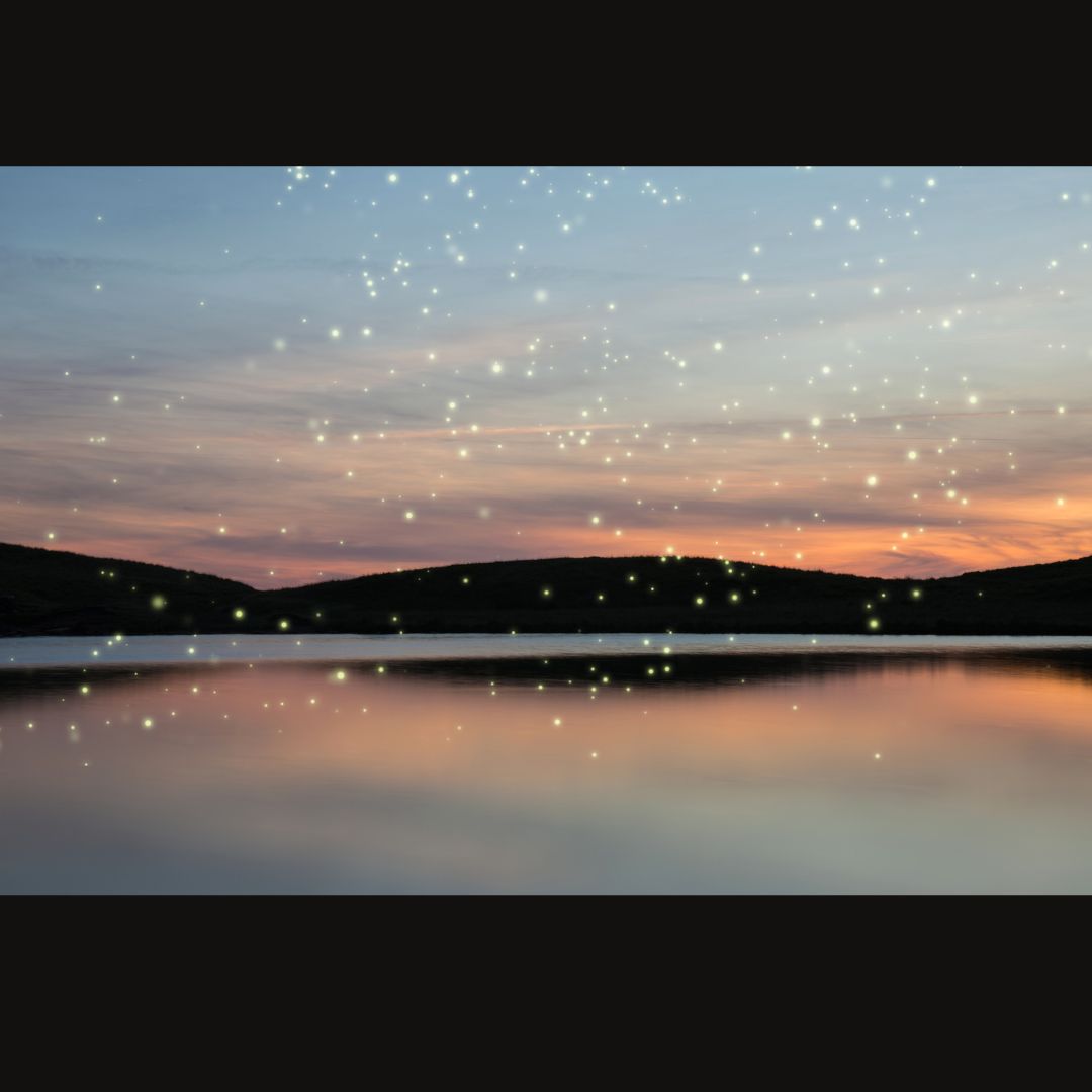 An Essential Journey