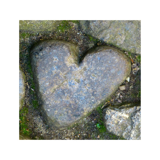 The Love and Grace of Friendship