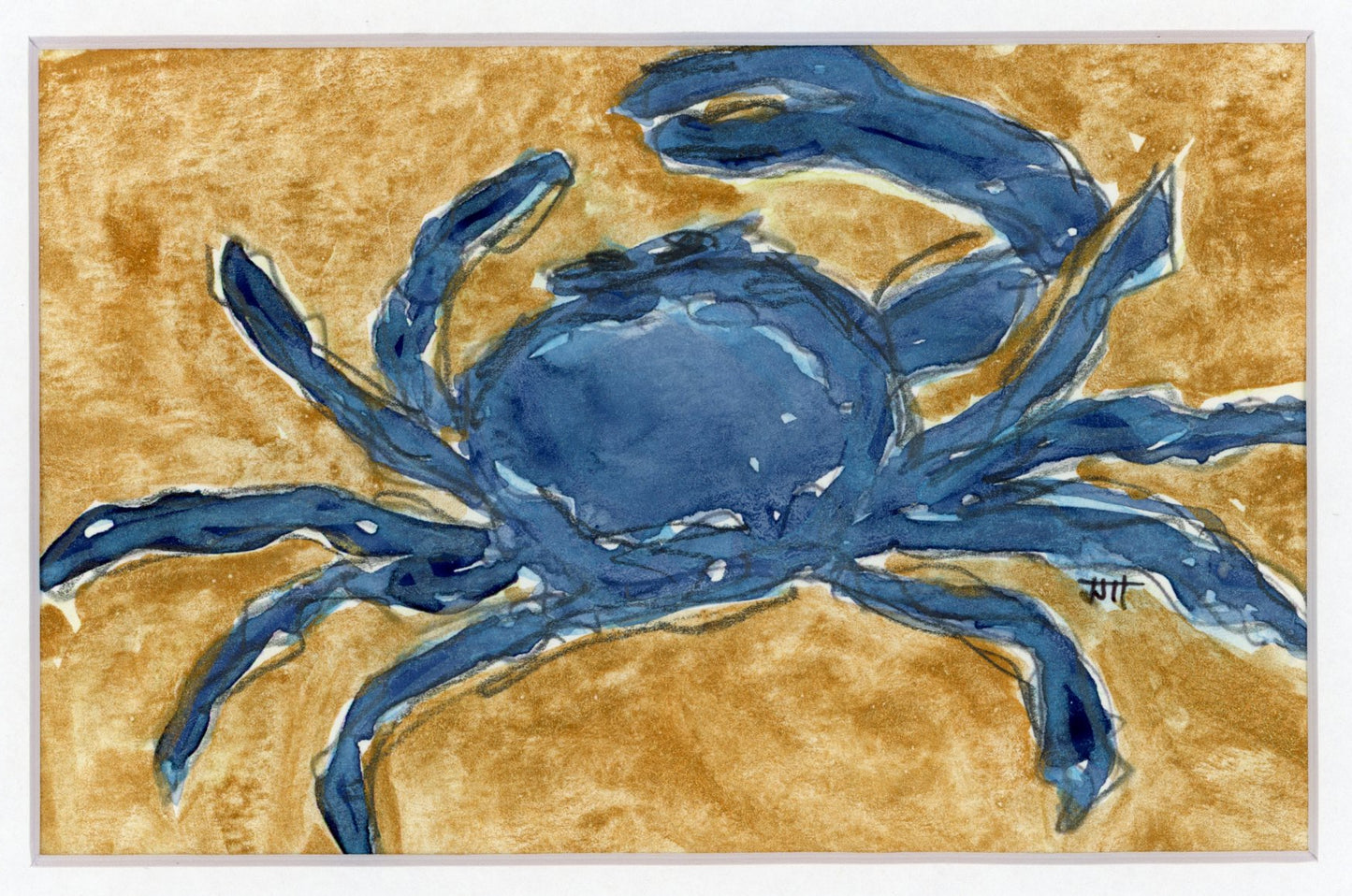 Annapolis Crab