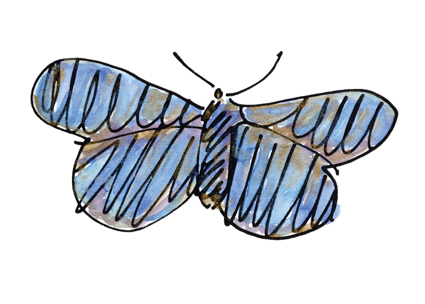 What's Bugging You! — Special Edition (5 of each design)!