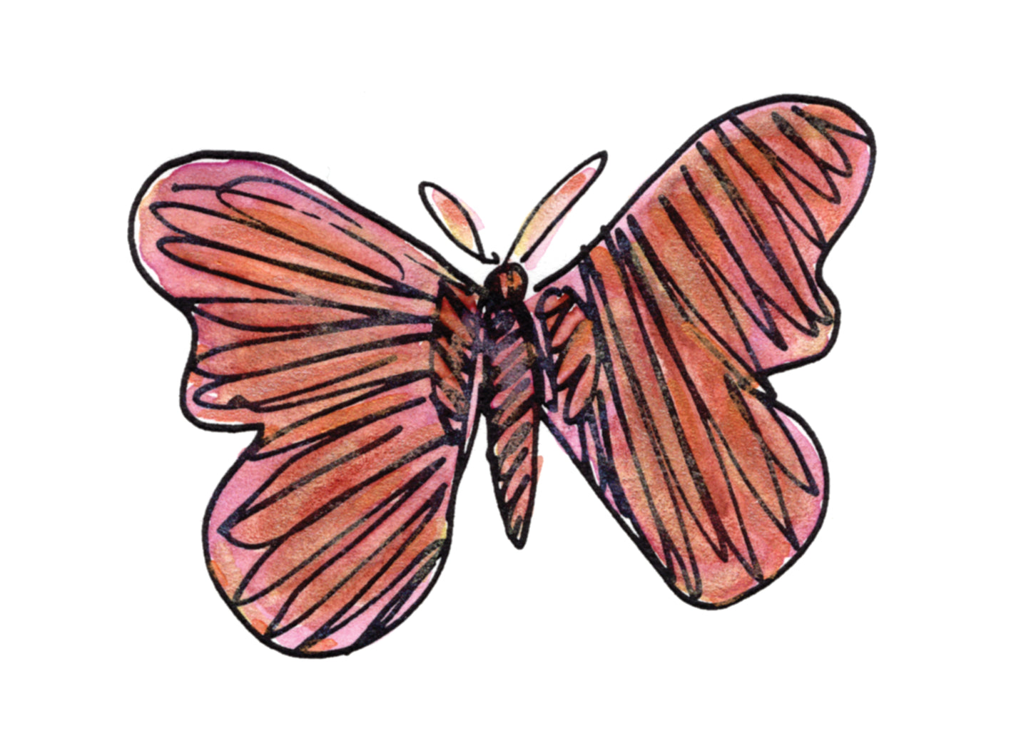 What's Bugging You! — Special Edition (5 of each design)!