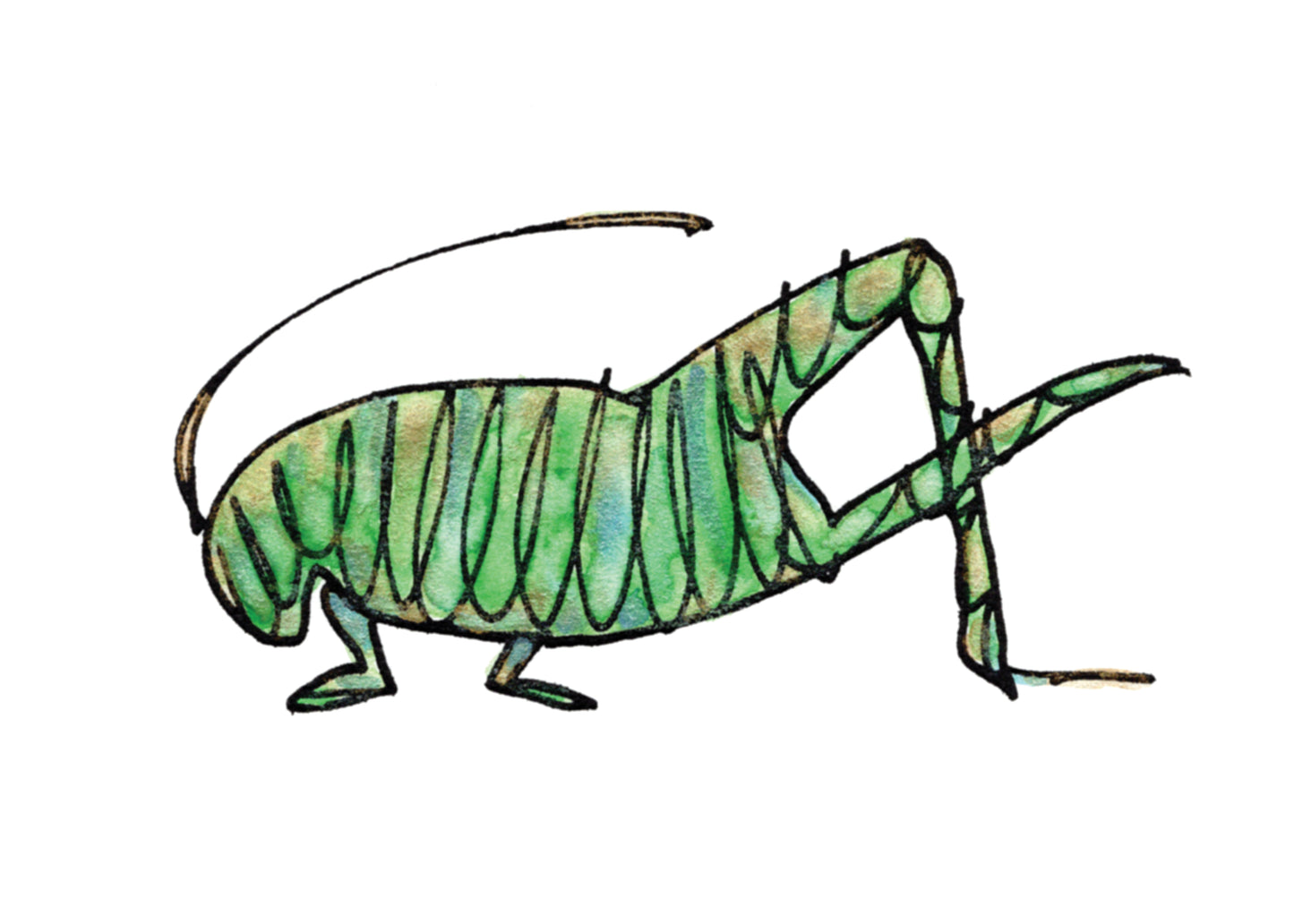 What's Bugging You! — Special Edition (5 of each design)!