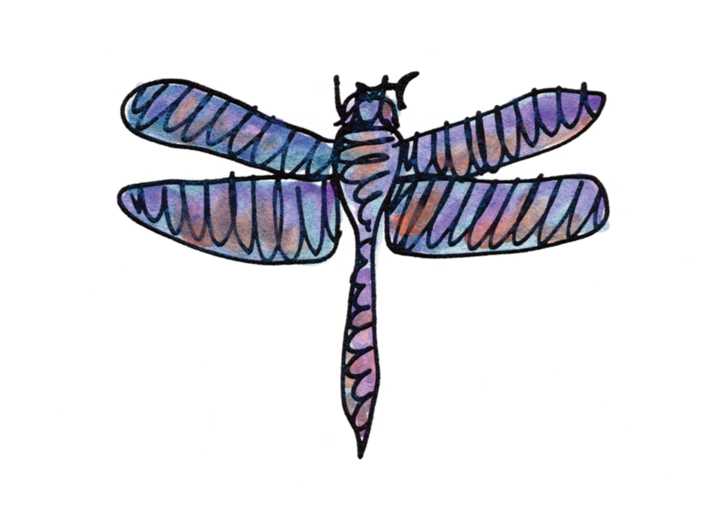What's Bugging You! — Special Edition (5 of each design)!