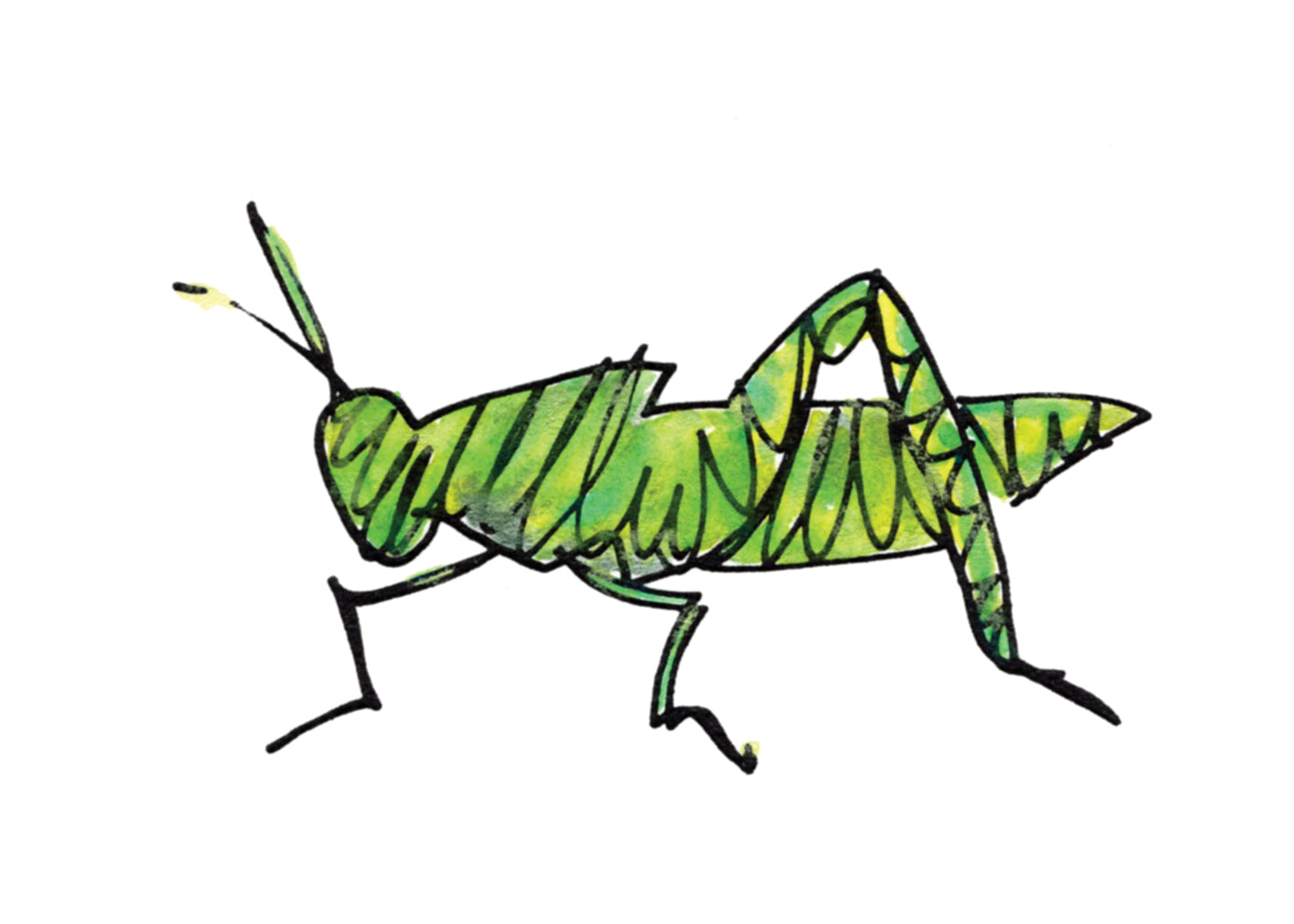 What's Bugging You! — Special Edition (5 of each design)!